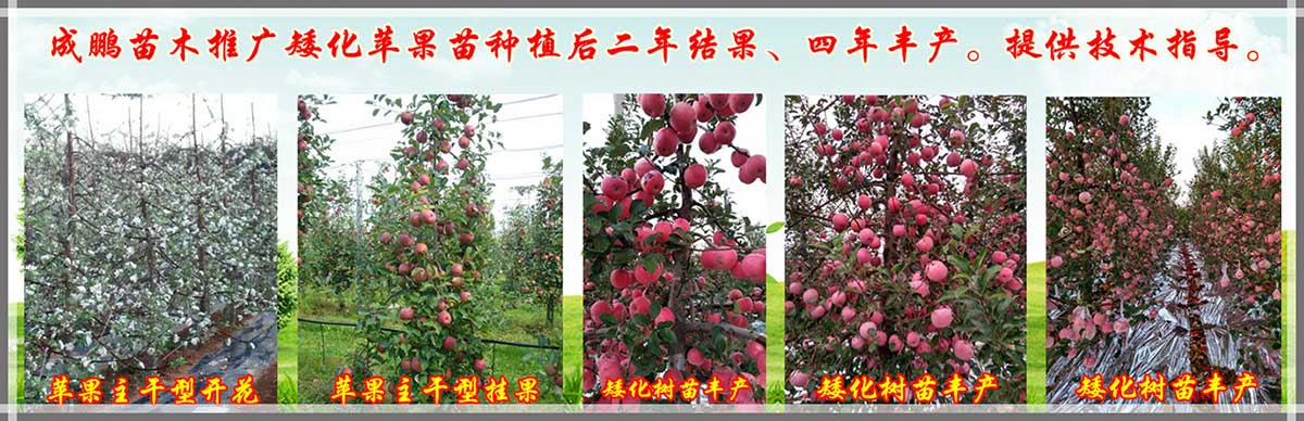 技術指導